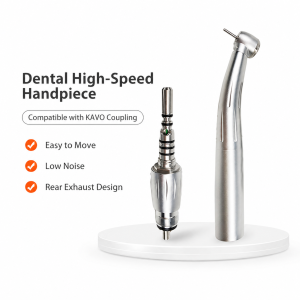 Dental Handpiece with Quick Connector