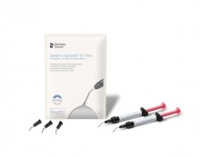 Ceram x Spectra ST Flow: Fluid Composite