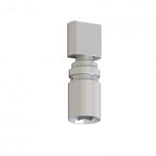 Impression coping single abutment implants external connection regular platform