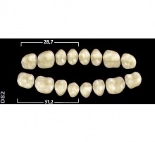 Gnathostar: Lower Posterior Acrylic Teeth (8 units)