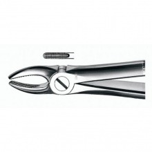 Dental Forceps for Exodontia