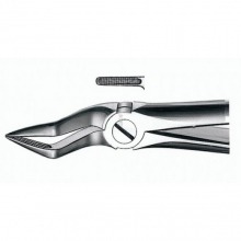 E51A FORCEPS N.51A RAICES SUP.