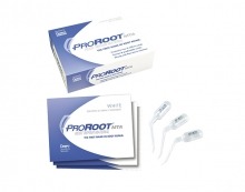 Pro Root: MTA Cement for Root Canal Repair (0.5g Sachets)