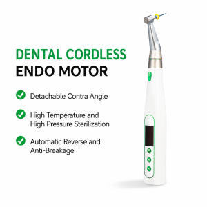Endo Motor with 1:1 Contra Angle Head and Apex Locator