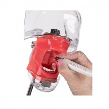 Periodontal Phantom to Practice