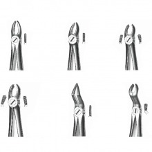 Forceps Upper and Lower Maxillary Exodontia: Stainless Steel Instruments
