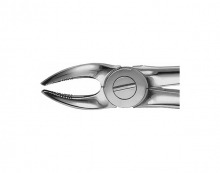Forceps for upper and lower molars