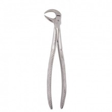 Stainless Steel Tooth Extraction Forceps