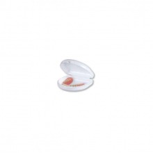 Dento-Box I: Box for Prosthesis or Orthodontic Work (12 pcs.)