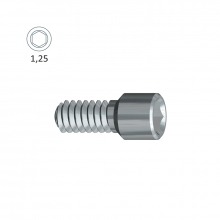 Internal Hexagonal Attachment Screw (Dentsply Astra Osseospeed Lilac® ø4.0/4.5)