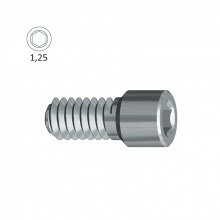 Internal Octogonal Attachment Screw (Klockner® Essential Cone® ø4.5)