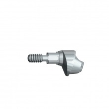Internal Octagonal Angled Transepithelial (Straumann Bone Level NC®)