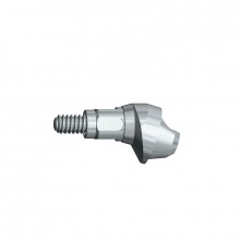 Internal Octagonal Angled Transepithelial (Straumann Bone Level RC®)