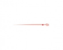 Rotate - Assortment of Guttapercha tips (60pcs)