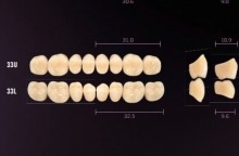 Idealis: Lower Posterior Acrylic Teeth (8 units)