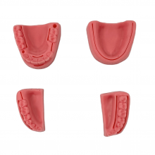 Silicone Model for Oral Sutures