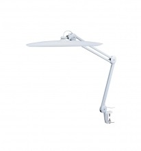 Dental LED Lamp