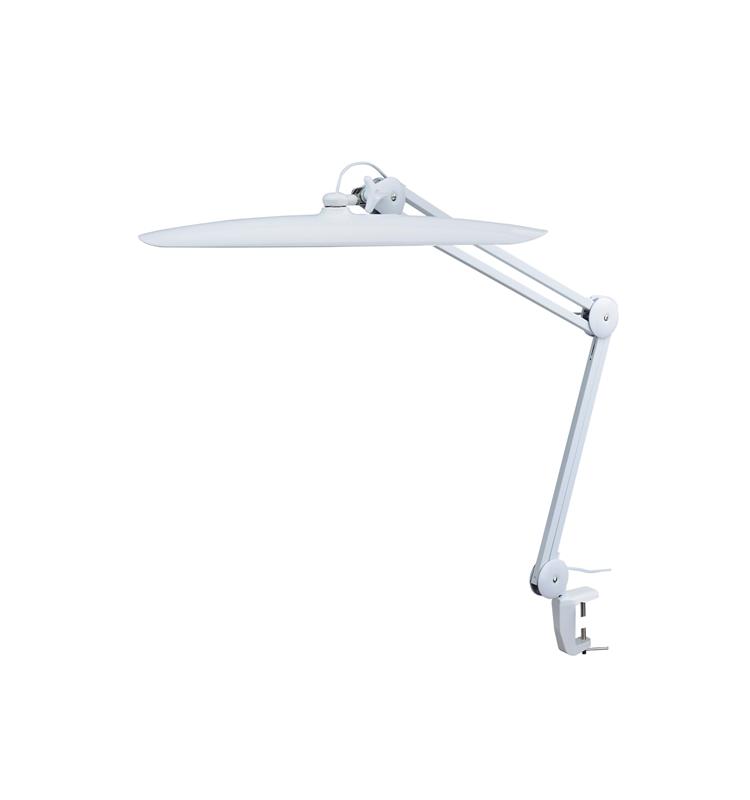 Dental LED Lamp