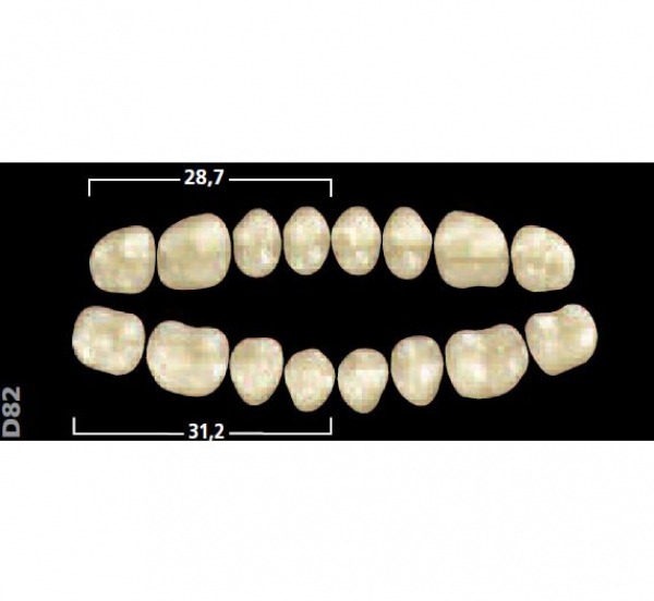 Gnathostar: Lower Posterior Acrylic Teeth (8 units)