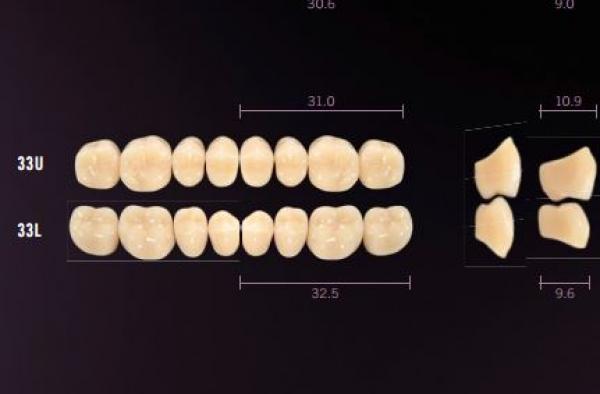 Idealis: Upper Posterior Acrylic Teeth (8 units)