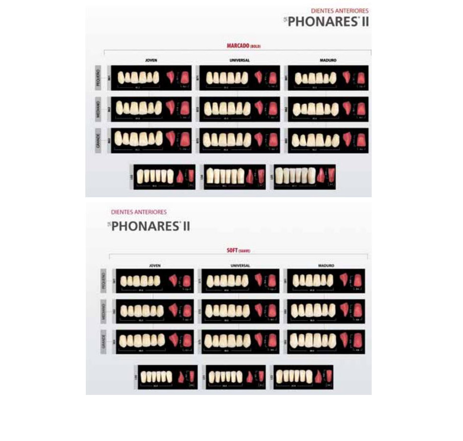 Phonares II: Lower Anterior Teeth (6 units)