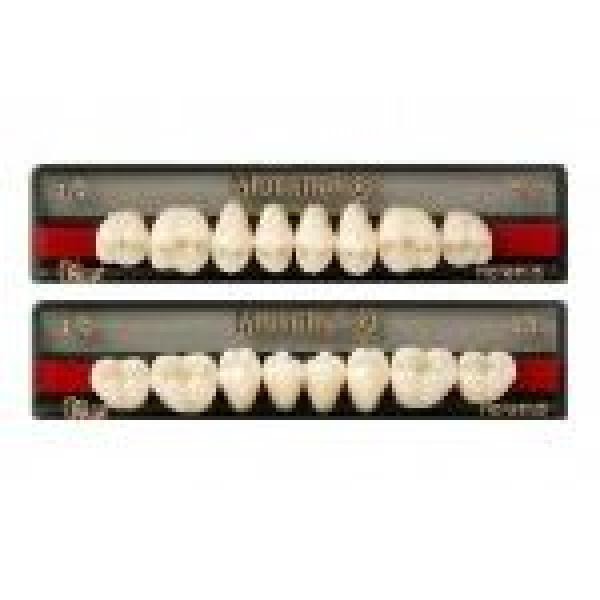 Mondial: Lower Posterior Acrylic Teeth (8 units)