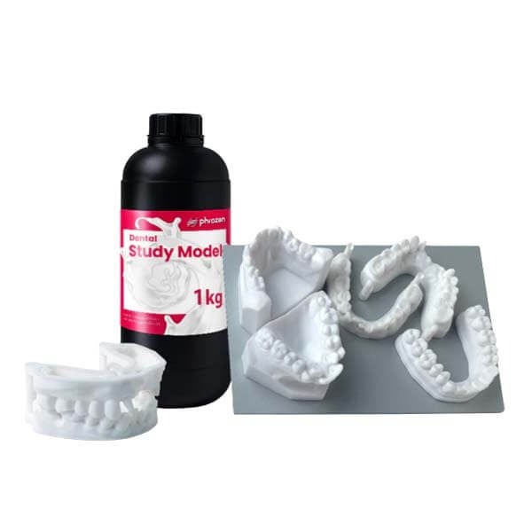 Dental Study Resin Model: Model Resin (1 kg)