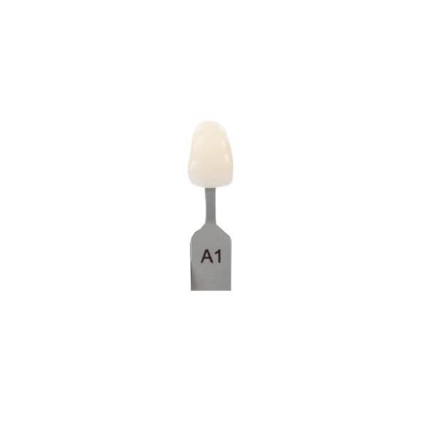 Sample Colour for Vita Classic Shade Guide