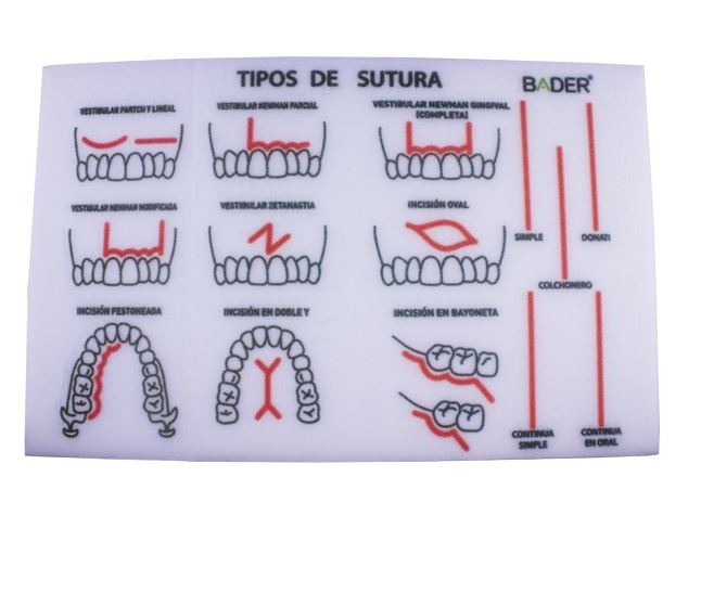 Practical Suture Foam Model for Dental Training and Practice