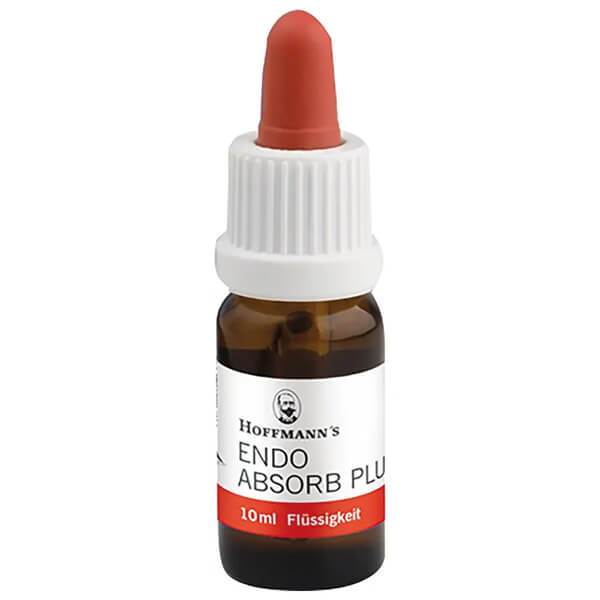 Endo Absorb Plus: Temporary Root Canal Filling Material