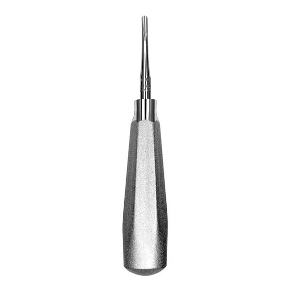 Curtis Roots Elevator: Tooth Extraction Instrument