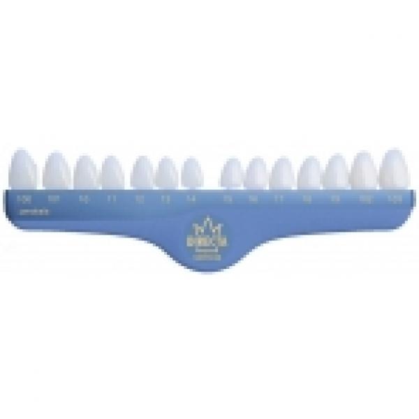 Translucent Polycarbonate Temporary Crowns (5 pcs)