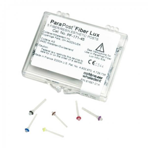 ParaPost Fiber White Fiber Posts with Chemical Adhesive – 5 Units