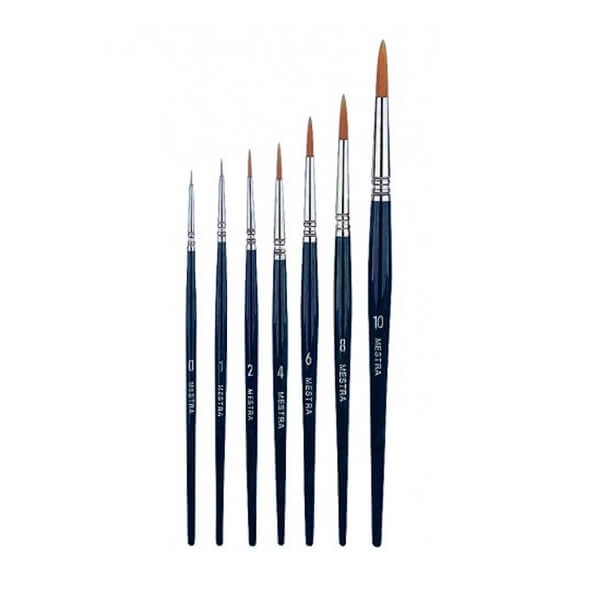 Plastic Toray Brush with Rounded Tip