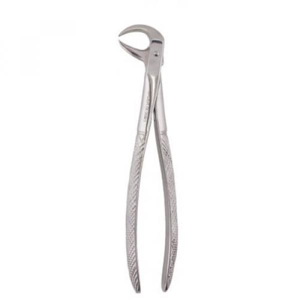 Stainless Steel Pico de Loro Tooth Extraction Forceps Figure 86C