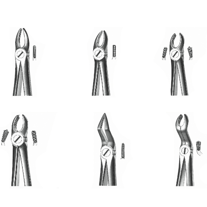 Forceps Upper and Lower Maxillary Exodontia: Stainless Steel Instruments