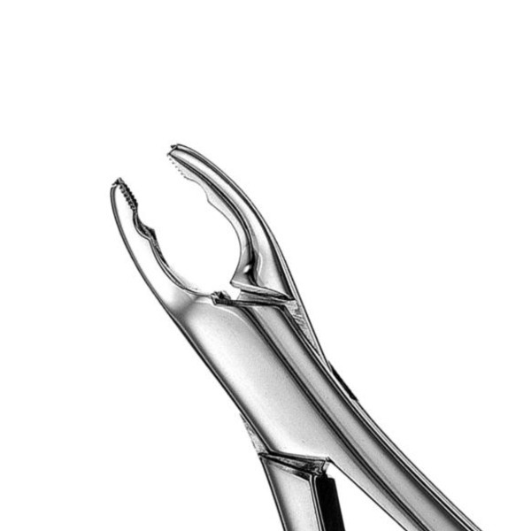 Universal Forceps: Tooth Extraction Instruments