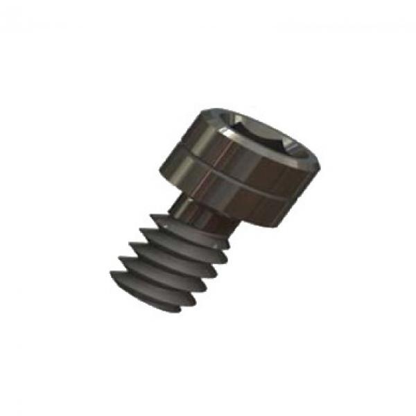 PROTECTION SCREWS FOR EXTERNAL CONNECTION REGULAR PLATFORM (5u)
