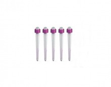 Luscent Anchors for Restorations