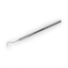 Simple Browser: Intraoral Diagnostic Probe