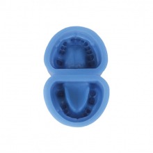 Silicone Mold for Edentulous Dental Prostheses