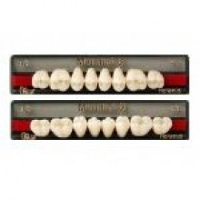 Mondial: Lower Posterior Acrylic Teeth (8 units)