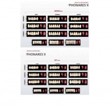 Phonares II: Lower Anterior Teeth (6 units)