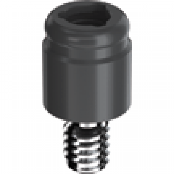 External Hexagonal Connection Abutment RP