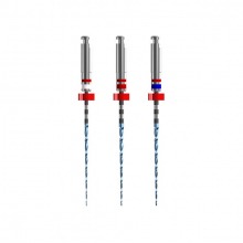Race Evo: Sterile Niti Files Conicity 4% (3 pcs)