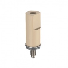 Scan Body type Phibo® External TSH® S5