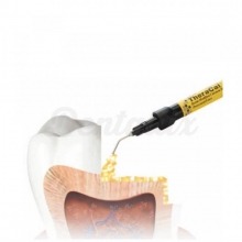 Theracal - protective pulp (1gr.)