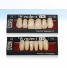 Phonares II: Upper Posterior Teeth (8 units)
